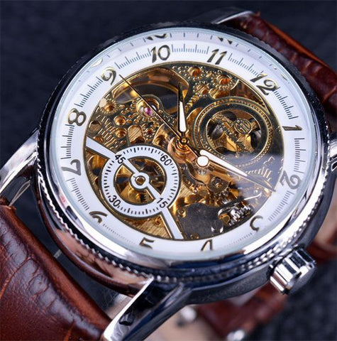 Luxury Winner Brand Golden Case Casual Design Brown Leather Strap Mens Watches Hollow Out Mechanical Skeleton Transparent Watch