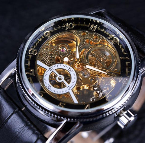 Luxury Winner Brand Golden Case Casual Design Brown Leather Strap Mens Watches Hollow Out Mechanical Skeleton Transparent Watch